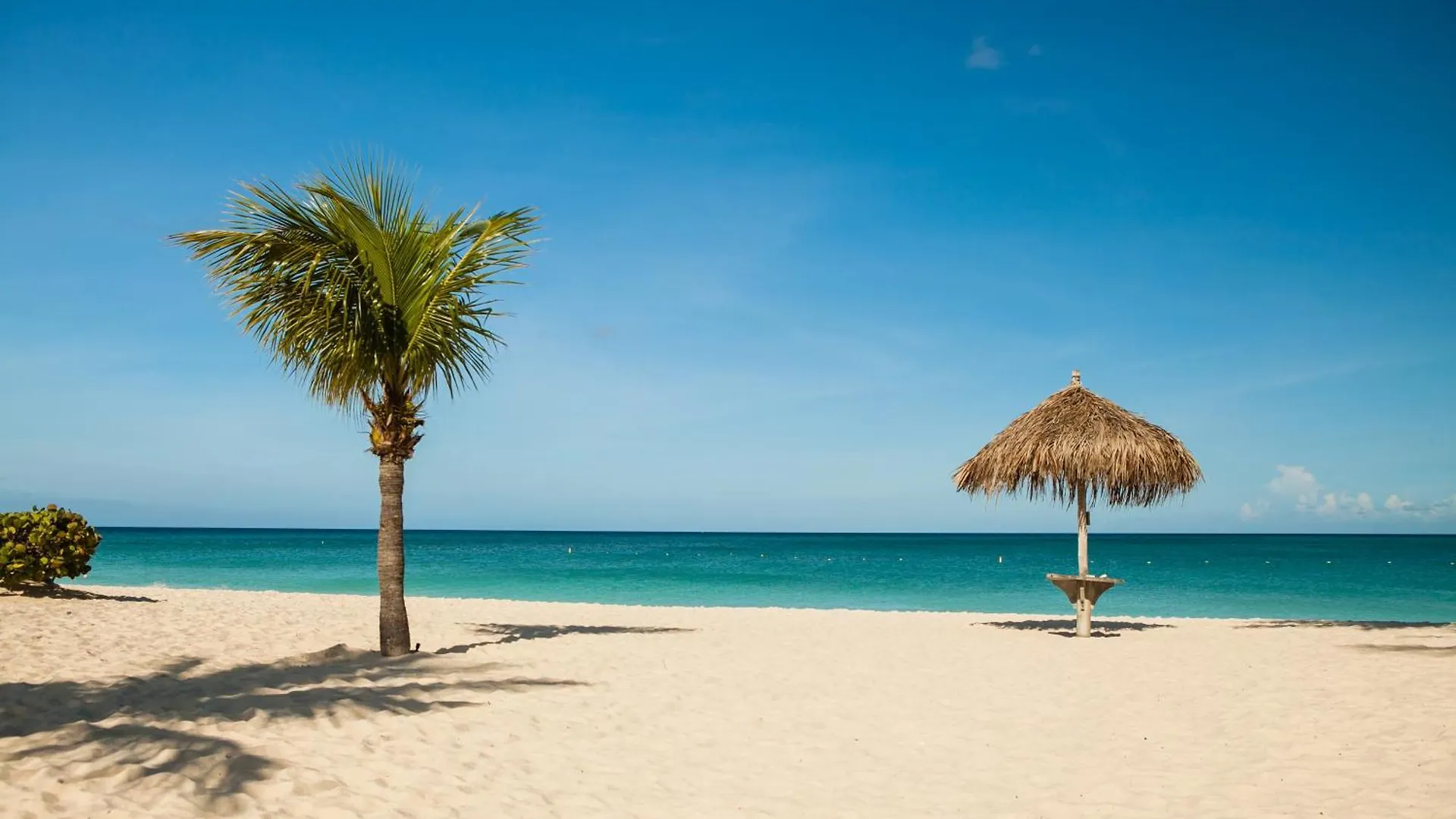 2Bs-Blue436- Oceanfront Condo Perfect For Family Getaway Palm Beach 0*,  Aruba